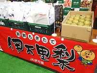 P7280560.JPG11111.jpg