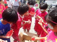 P8011410.JPG111111.jpg