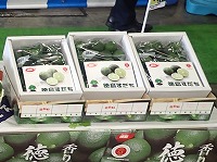 P8181520.JPG1111111.jpg