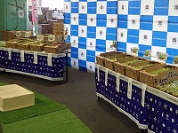 P8211571.JPG1111.jpg