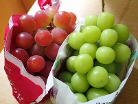 P9041110.JPG11111.jpg