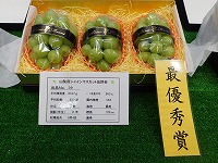P9182179.JPG111111.jpg