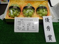 P9182180.JPG1111.jpg