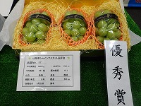 P9182181.JPG1111.jpg