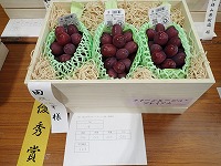 P9182193.JPG11111.jpg