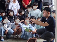 P9286086.JPG11111111.jpg P9286086.JPG11111111.jpg