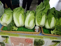 PA031255.JPG1111.jpg