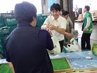 PA031289.JPG11111.jpg