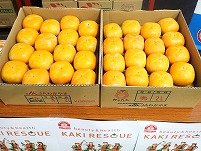 PA101466.JPG111111.jpg
