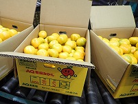 PA101509.JPG1111.jpg
