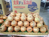 PA111542.JPG1111.jpg