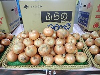 PA111543.JPG11111.jpg