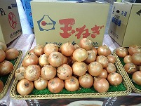 PA111544.JPG1111.jpg