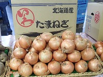 PA111545.JPG11111.jpg