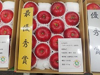 PA176251.JPG111.jpg