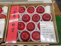 PA176254.JPG1111.jpg