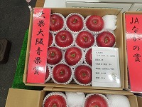 PA176256.JPG1111.jpg