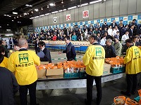 PA292847.JPG111111.jpg