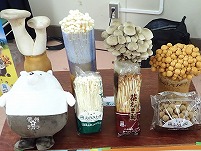 PA311930.JPG11111.jpg PA311930.JPG11111.jpg