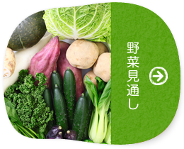 野菜見通し